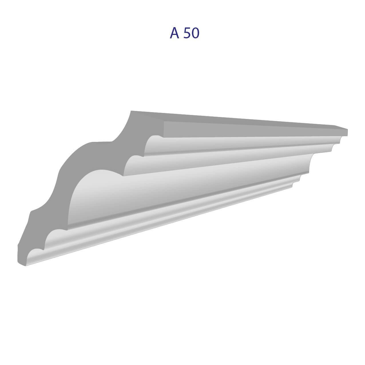 WhatsApp Image 2025-08-24 at 11.51.14